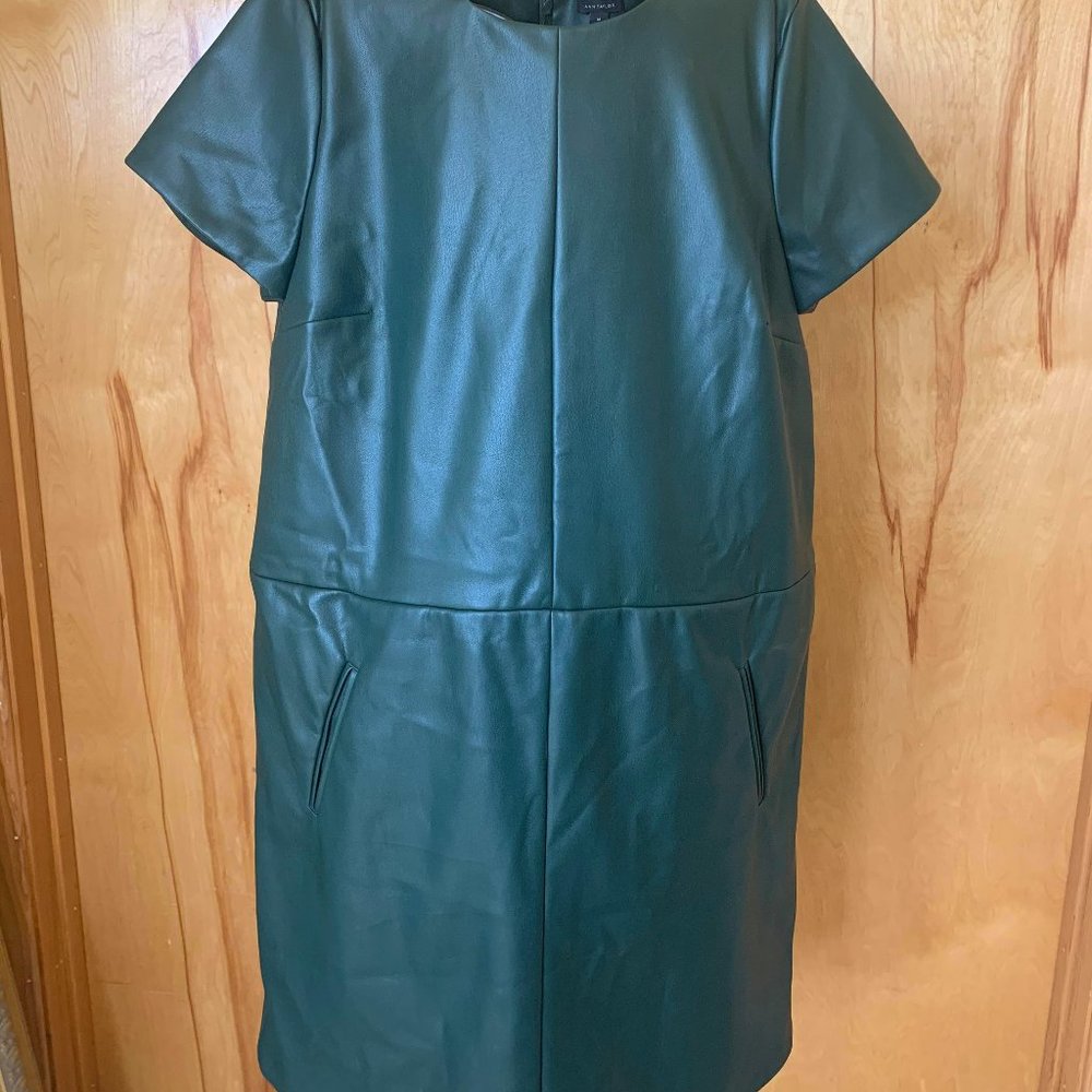 Soft Leather Dress